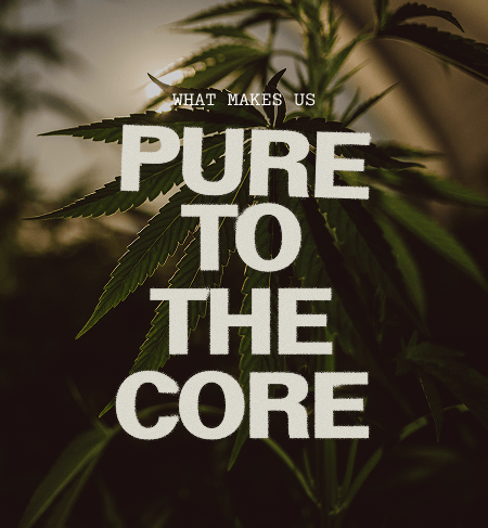 pure to the core