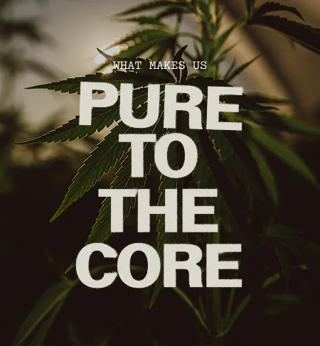 pure to the core
