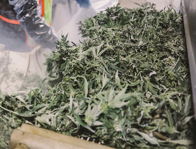 20201020_BrianWalker_0478 1