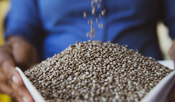 KristaSimmons-RawGarden0721-026 1