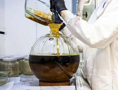 Shafik Raw Garden - 195 1