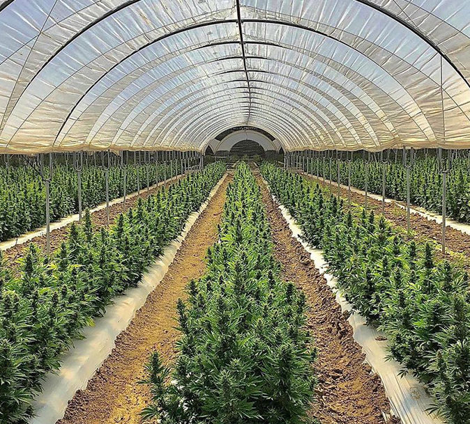 Artboard-1-aspect-ratio-365-330