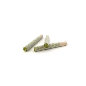 Raw-Garden-Infused-Joints-3-Pack