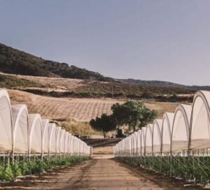 WhatsApp-Image-2021-04-11-at-6.42.30-AM-aspect-ratio-365-330